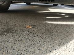 Honda Vezel 1.5L Edition - photo 8
