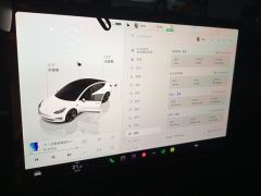 Tesla Model 3 556km Rear-Wheel Drive Edition - ფოტო 20