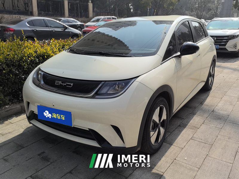 BYD Dolphin 420km Free Version - car from China