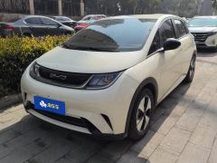 BYD Dolphin 420km Free Version - photo 1