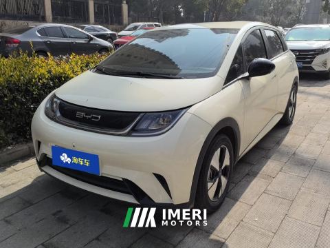 2023 BYD Dolphin 420km Free Version - car from China