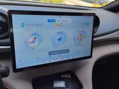 BYD Dolphin 420km Free Version - photo 17