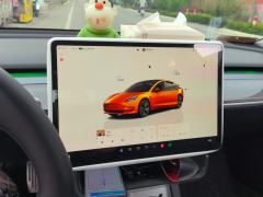 Tesla Model 3 556km Rear-Wheel Drive Edition - фото 17