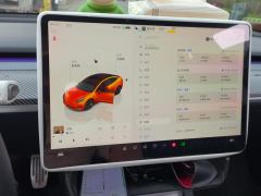 Tesla Model 3 556km Rear-Wheel Drive Edition - фото 20