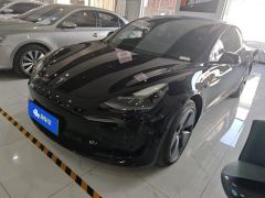 Tesla Model 3 556km Rear-Wheel Drive Edition - фото 1