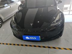 Tesla Model 3 556km Rear-Wheel Drive Edition - фото 3