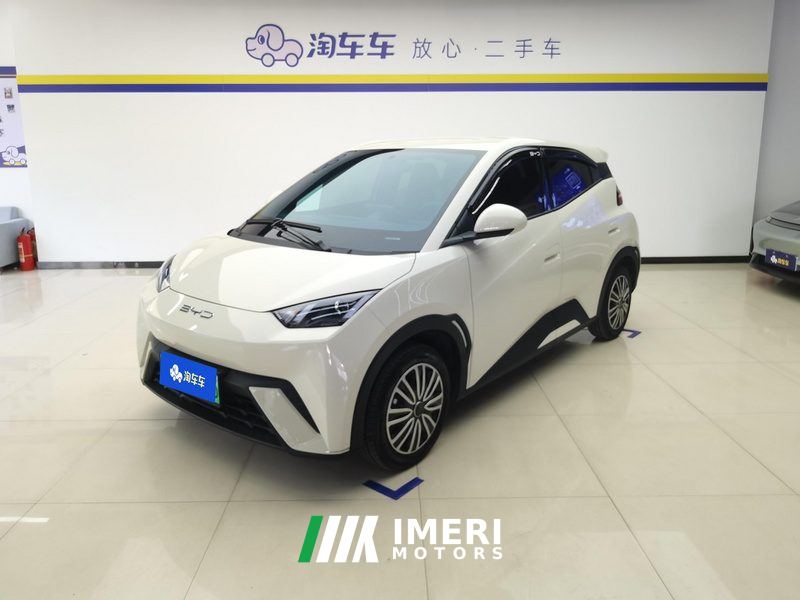 BYD Seagull 305km Vitality Edition - ავტომობილი ჩინეთიდან