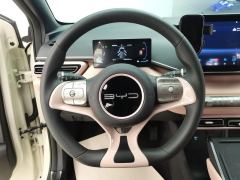 BYD Seagull 305km Vitality Edition - ფოტო 18