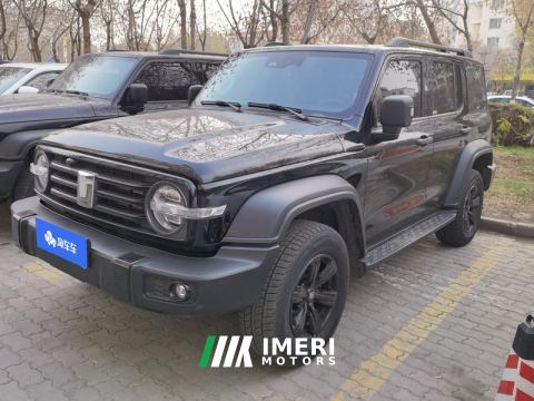 2023 Tank 300 Off-Road Edition 2.0T Challenger - ავტომობილი ჩინეთიდან