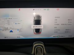 XPeng P7 480N - ფოტო 20