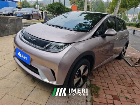 2023 BYD Dolphin 420km Stylish Edition