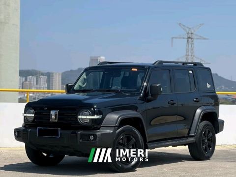 2023 Tank 300 Off-Road Edition 2.0T Conqueror - ავტომობილი ჩინეთიდან