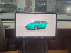 Tesla Model Y 545km Rear-Wheel Drive Edition - ფოტო 17