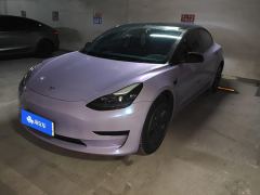 Tesla Model 3 556km Rear-Wheel Drive Edition - фото 1