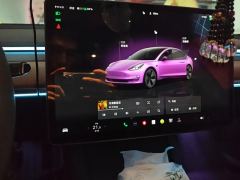 Tesla Model 3 556km Rear-Wheel Drive Edition - фото 17
