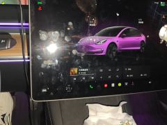 Tesla Model 3 556km Rear-Wheel Drive Edition - фото 20