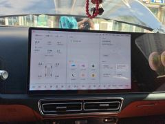Li Auto Li L8 Pro - ფოტო 17