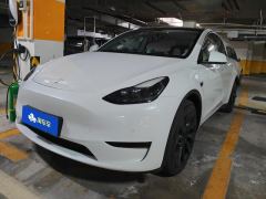 Tesla Model Y 545km Rear-Wheel Drive Edition - ფოტო 1