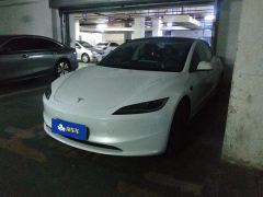 Tesla Model 3 606km Rear-Wheel Drive Edition - ფოტო 1