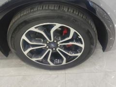Ford EVOS EcoBoost 245 Sports Edition - photo 6