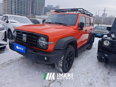 2021 Tank 300 Off-Road Edition 2.0T Conqueror - автомобиль из Китая