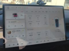 Changan A07 EREV Blue Whale Edition 230 Flagship - ფოტო 20