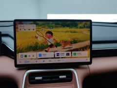 Geely Galaxy L6 EM-i 1.5L 140km Explorer Edition - photo 17