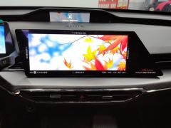 Oshan Z6 1.5T Version - photo 17