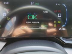 BYD Qin PLUS EV Honor Edition 510km Leading Edition - ფოტო 20