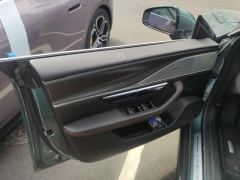 XPeng P7 P7i 702 Rear-wheel drive Max - ფოტო 12