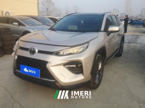 2023 Toyota Wildlander 2.0L AWDLuxuryPLUS Edition - car from China