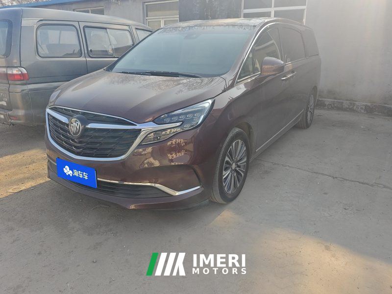 Buick GL8 ES Luxury Edition 653T Flagship 7-seater