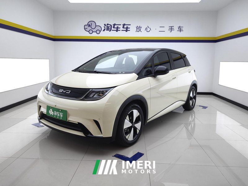 BYD Dolphin 420km Stylish Edition - car from China