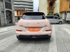 Ora Great Wall Good Cat 501km Prestigious Edition Lithium iron phosphate - фото 11