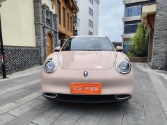 Ora Great Wall Good Cat 501km Prestigious Edition Lithium iron phosphate - фото 2