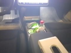 Tesla Model 3 606km Rear-Wheel Drive Edition - ფოტო 19