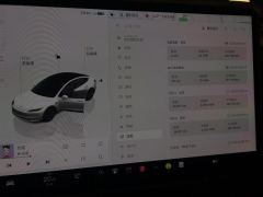 Tesla Model 3 606km Rear-Wheel Drive Edition - ფოტო 20