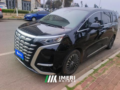 2024 Denza D9 DM-i 1.5T 200km Exclusive Frontrunner 7-seater - ავტომობილი ჩინეთიდან