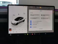 Tesla Model 3 606km Rear-Wheel Drive Edition - ფოტო 20
