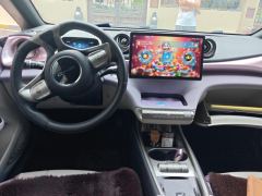 BYD Dolphin 401km Knight Edition - photo 16