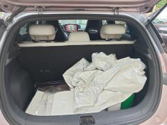 BYD Dolphin 401km Knight Edition - photo 7