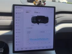 NIO ES8 605km 100kWh - ფოტო 20