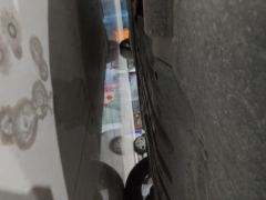 BYD Yuan PLUS Champion Edition 510km Elite Edition - ფოტო 8