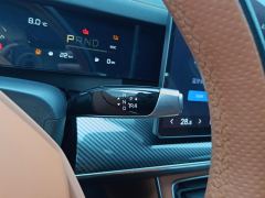 Neta L EREV Edition 310km Edition - ფოტო 19