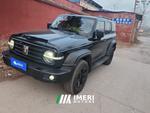 2023 Tank 300 Off-Road Edition 2.0T Challenger - ავტომობილი ჩინეთიდან