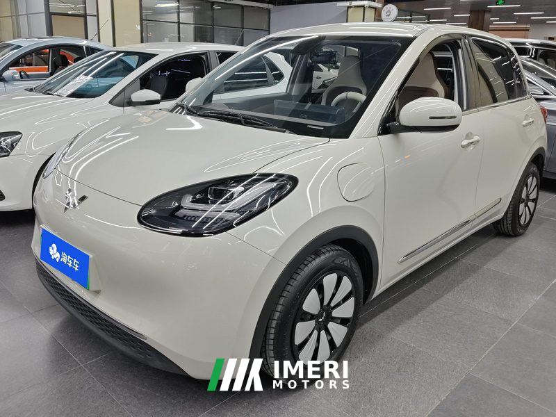 Wuling Bingo Binguo 333km Joy Edition - car from China