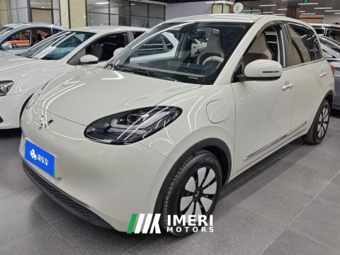 2023 Wuling Bingo Binguo 333km Joy Edition - car from China