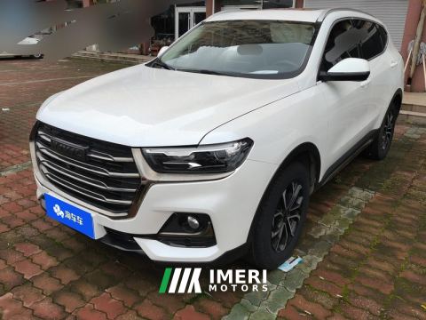 2021 Haval H6 Guochao Edition 1.5T 2WD Urban Edition - ავტომობილი ჩინეთიდან