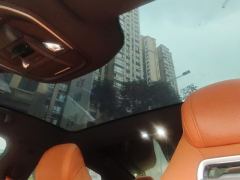 Ora Lightning Cat 555km Premium Edition - ფოტო 15