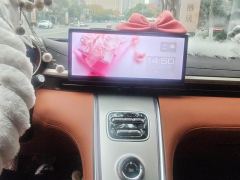Ora Lightning Cat 555km Premium Edition - ფოტო 17